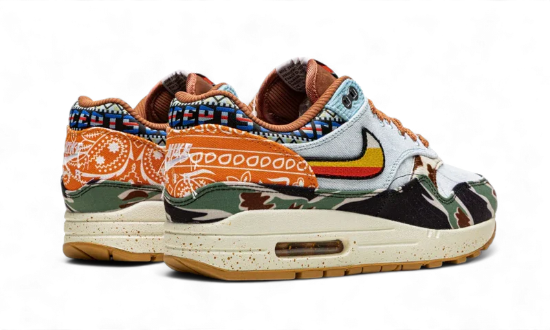 Nike Air Max 1 SP Concepts Heavy
