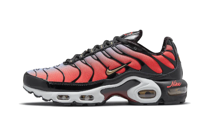 Nike Air Max Plus Sisterhood
