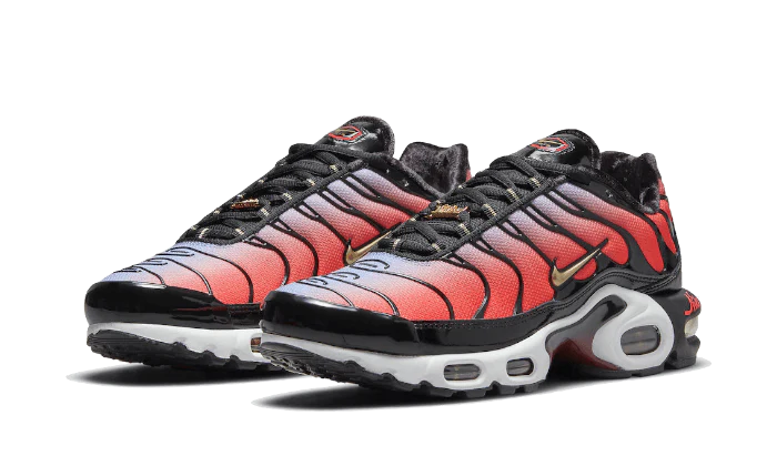Nike Air Max Plus Sisterhood